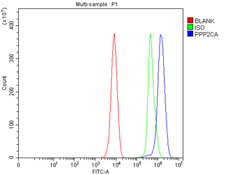 PP2A-alpha/PPP2CA/PP2A Rabbit Polyclonal Antibody