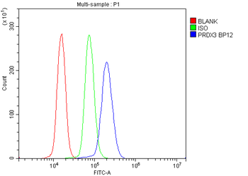 Peroxiredoxin 3/PRDX3 Rabbit Polyclonal Antibody