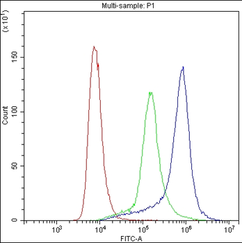 CD62P/SELP Rabbit Polyclonal Antibody