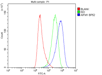 AIF/AIFM1 Rabbit Polyclonal Antibody