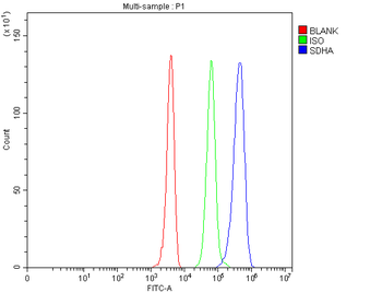 SDHA Rabbit Polyclonal Antibody