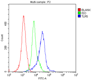 TLR5 Rabbit Polyclonal Antibody