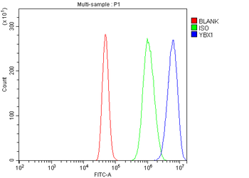 YB1/YBX1 Rabbit Polyclonal Antibody