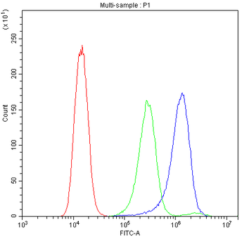 ATG14L Rabbit Polyclonal Antibody