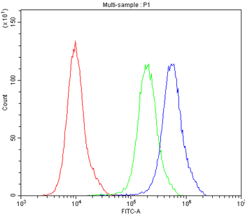 ATG14L Rabbit Polyclonal Antibody