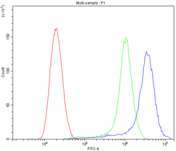 ATG14L Rabbit Polyclonal Antibody