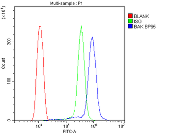 BAK/BAK1 Rabbit Polyclonal Antibody