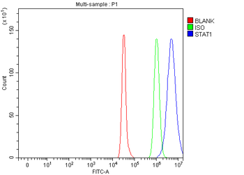 STAT1 Rabbit Polyclonal Antibody