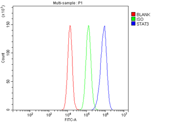 STAT3 Rabbit Polyclonal Antibody