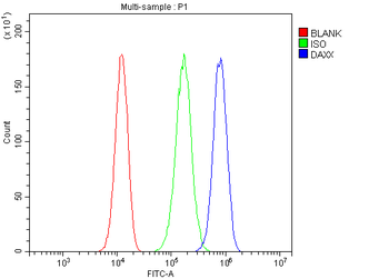 Daxx Rabbit Polyclonal Antibody