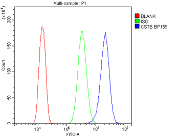 Stefin B/CSTB Rabbit Polyclonal Antibody