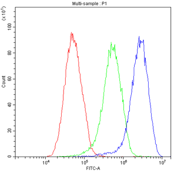 AHSG Rabbit Polyclonal Antibody
