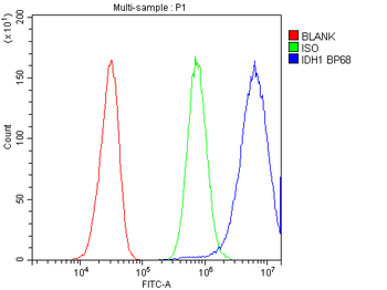 Isocitrate dehydrogenase/IDH1 Rabbit Polyclonal Antibody
