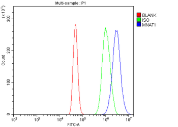 MNAT1 Rabbit Polyclonal Antibody