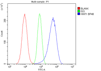 HINT1 Rabbit Polyclonal Antibody