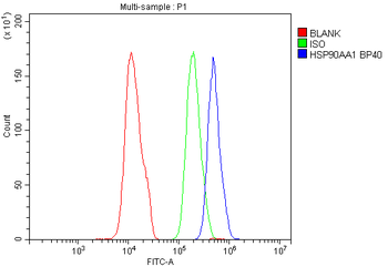 Hsp90 alpha/HSP90AA1 Rabbit Polyclonal Antibody