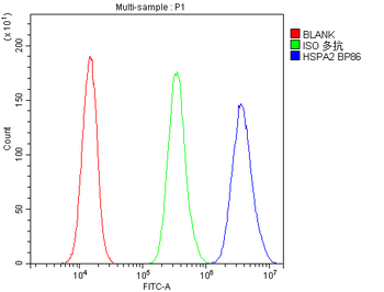 HSPA2 Rabbit Polyclonal Antibody