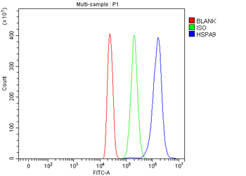 Grp75/HSPA9 Rabbit Polyclonal Antibody