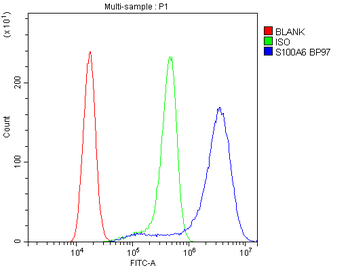 S100 alpha 6/S100A6 Rabbit Polyclonal Antibody