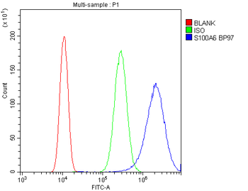 S100 alpha 6/S100A6 Rabbit Polyclonal Antibody