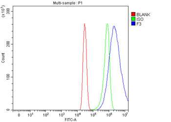 Tissue Factor/F3 Rabbit Polyclonal Antibody