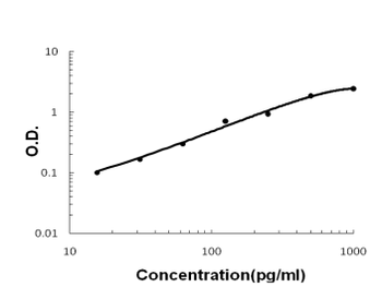 Tissue Factor/F3 Rabbit Polyclonal Antibody