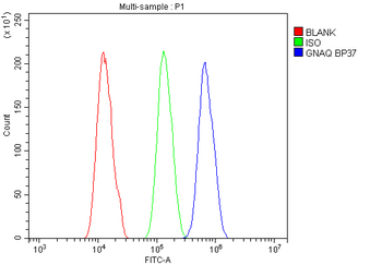 GNAQ Rabbit Polyclonal Antibody