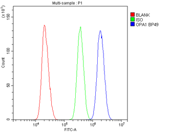 OPA1 Rabbit Polyclonal Antibody