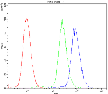 Cytochrome P450 Reductase/POR Rabbit Polyclonal Antibody