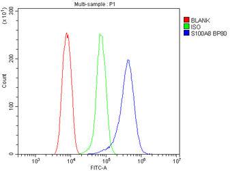 MRP8/S100A8 Rabbit Polyclonal Antibody