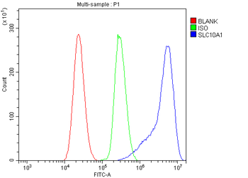 SLC10A1 Rabbit Polyclonal Antibody