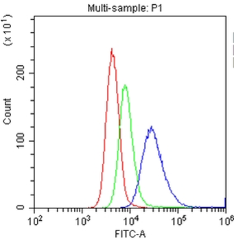 CD153/TNFSF8 Rabbit Polyclonal Antibody