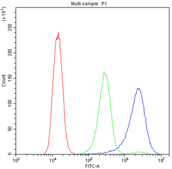 Bik Rabbit Polyclonal Antibody