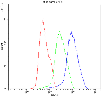 Bik Rabbit Polyclonal Antibody