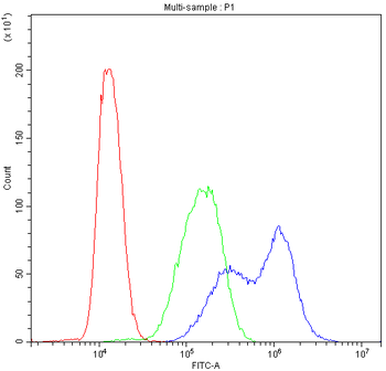Bik Rabbit Polyclonal Antibody