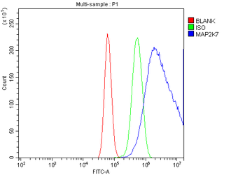 MEK7/MAP2K7 Rabbit Polyclonal Antibody