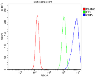 CD45/PTPRC Rabbit Polyclonal Antibody