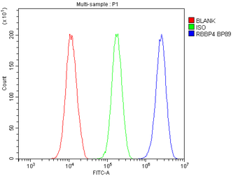 RbAp48/RBBP4 Rabbit Polyclonal Antibody
