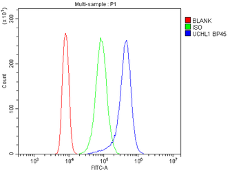 PGP9.5/UCHL1/PGP9 Rabbit Polyclonal Antibody
