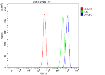 UNC5C Rabbit Polyclonal Antibody