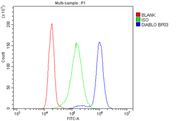 Smac/Diablo Rabbit Polyclonal Antibody