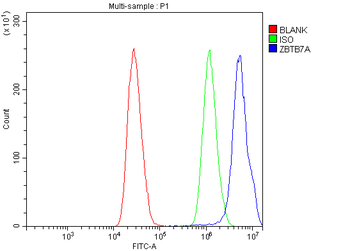 ZBTB7A Rabbit Polyclonal Antibody
