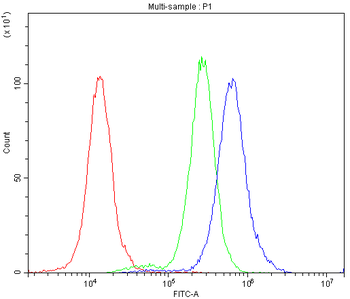 Bcl-X/BCL2L1 Rabbit Polyclonal Antibody