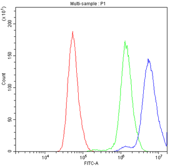 Bcl-X/BCL2L1 Rabbit Polyclonal Antibody