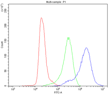 TCP1 delta/CCT4 Rabbit Polyclonal Antibody