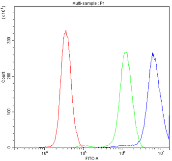 TCP1 delta/CCT4 Rabbit Polyclonal Antibody
