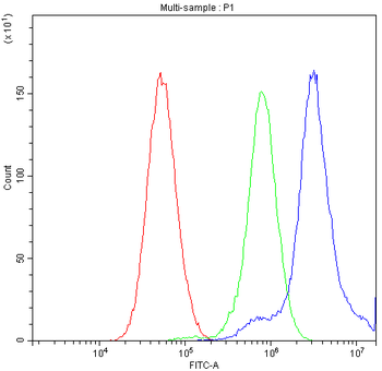 TCP1 delta/CCT4 Rabbit Polyclonal Antibody