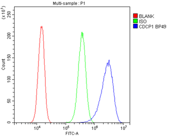 CDCP1 Rabbit Polyclonal Antibody