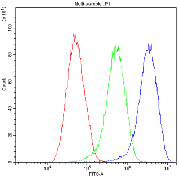 Factor I/CFI Rabbit Polyclonal Antibody