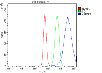 TAK1/MAP3K7 Rabbit Polyclonal Antibody